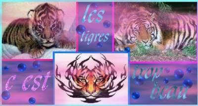 vous aimez ??